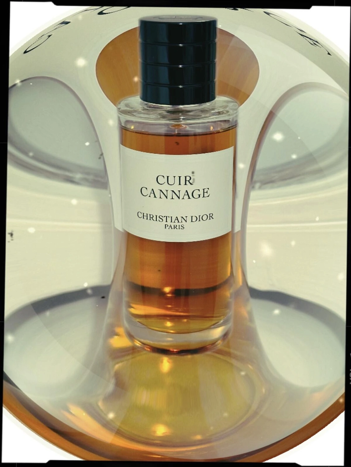 Christian Dior Cuir Cannage