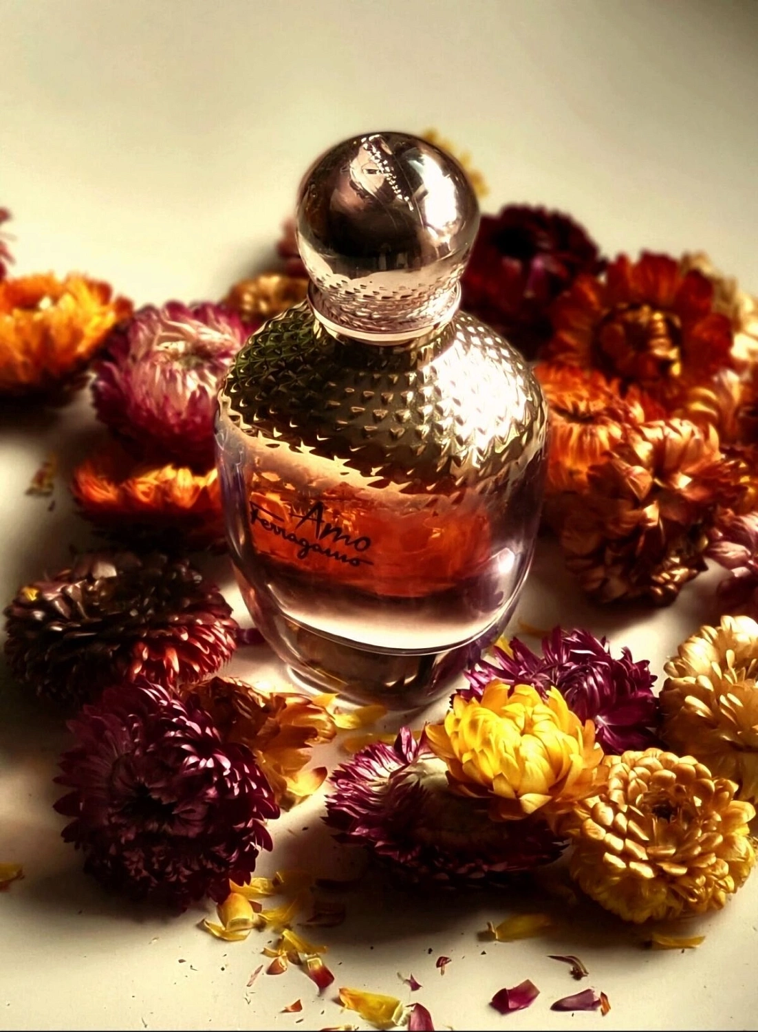 Salvatore Ferragamo Amo Ferragamo