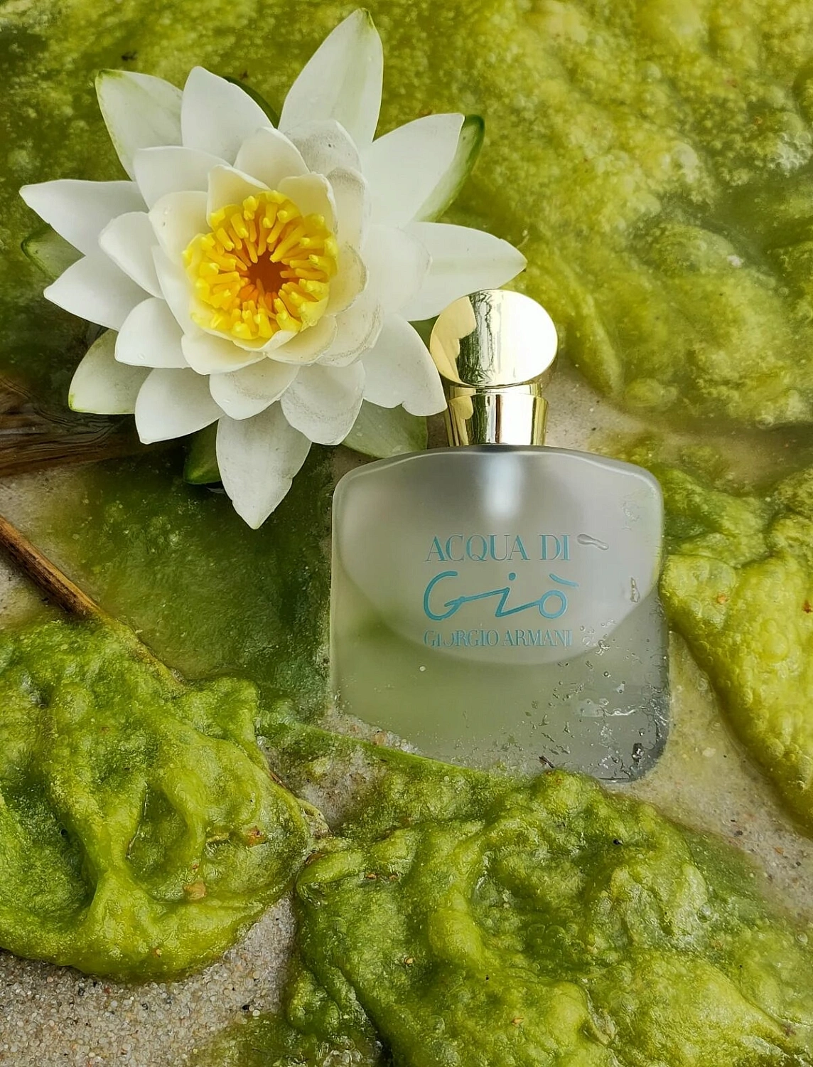 ARMANI Acqua di Gio ARMANI Acqua di Gio