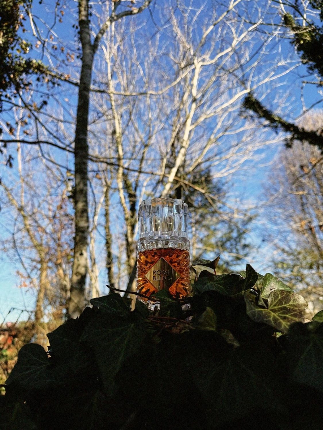 Fragrance World Royal Blend