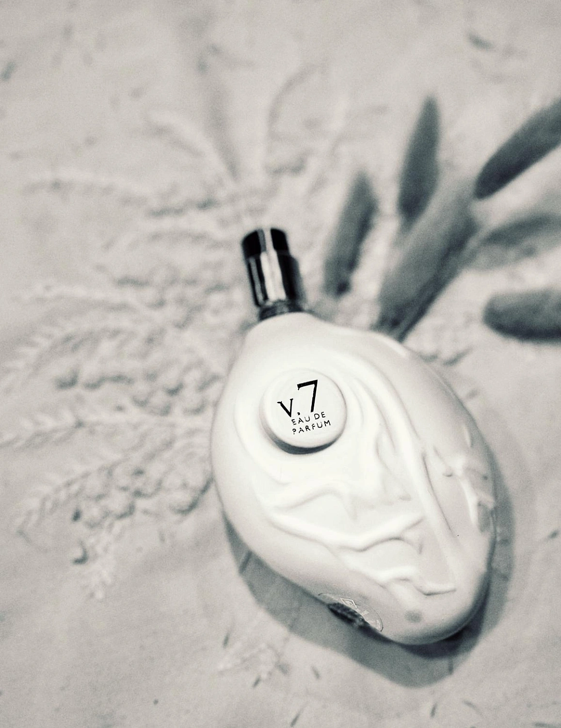 Map Of The Heart White Heart V 7