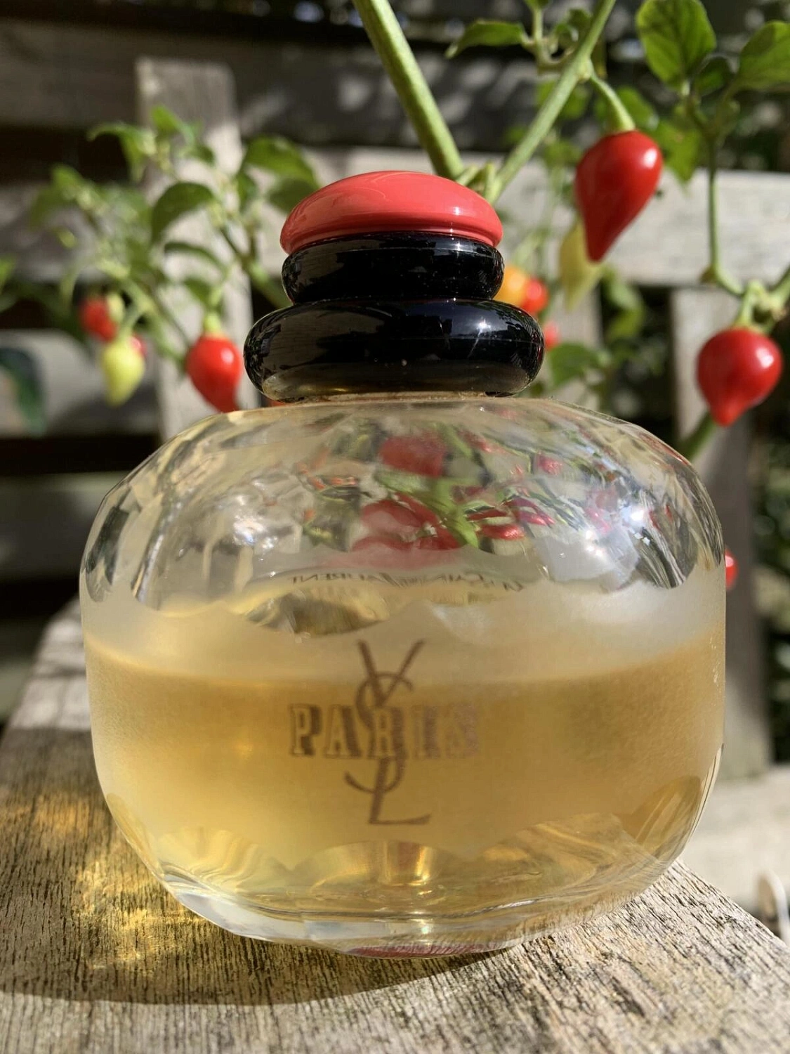 Yves Saint Laurent Paris