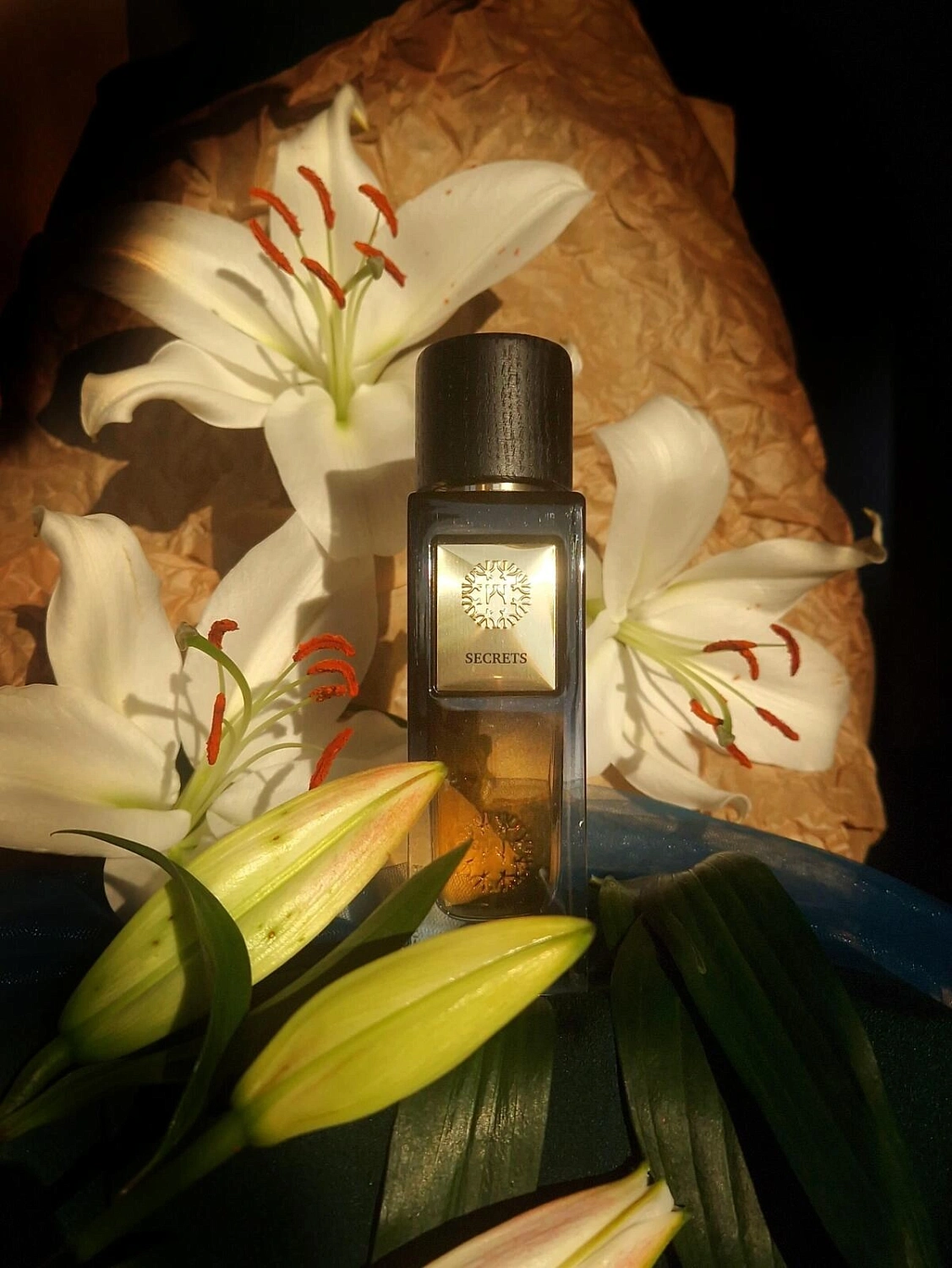 The Woods Collection Secret