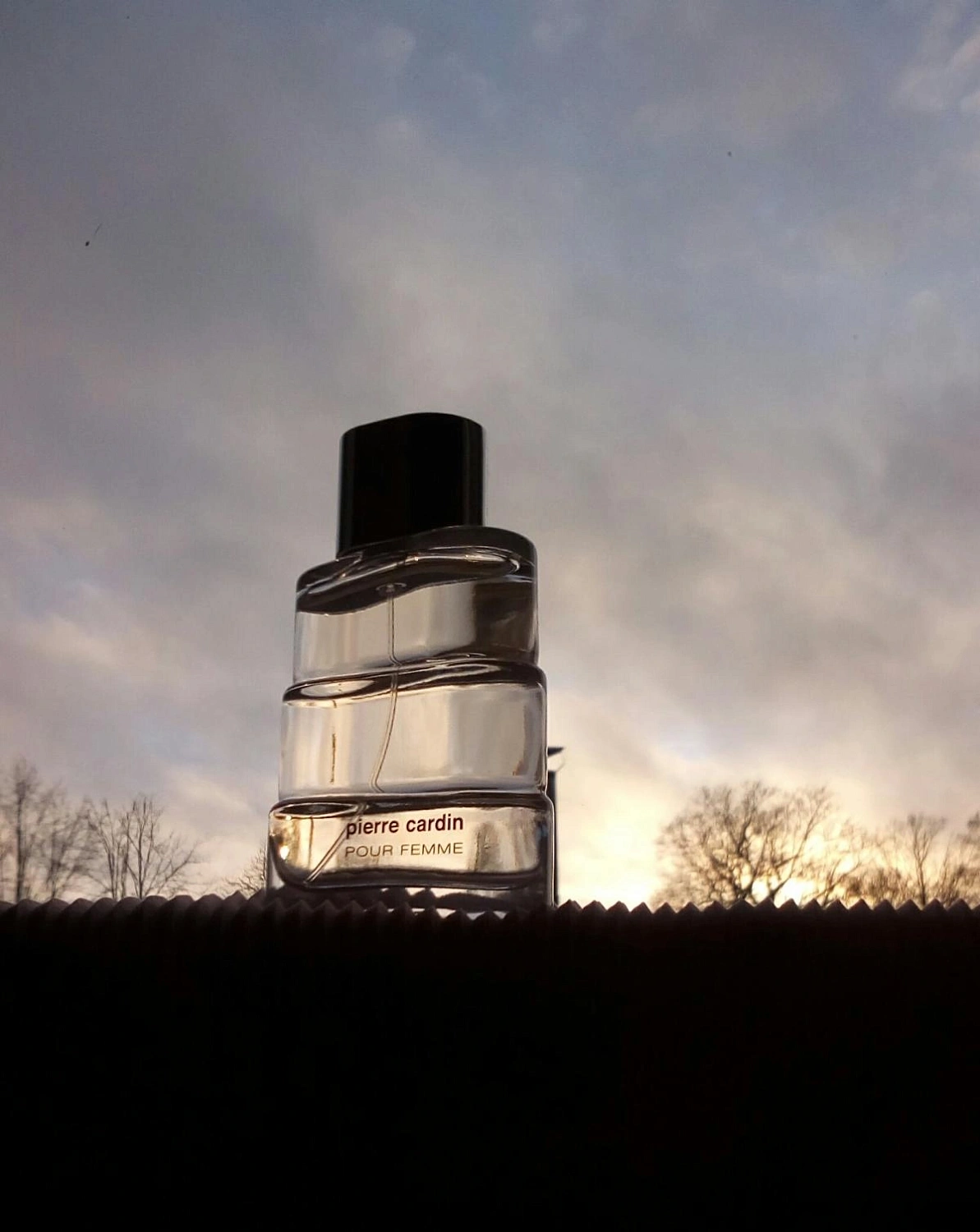 Pierre Cardin pour Femme