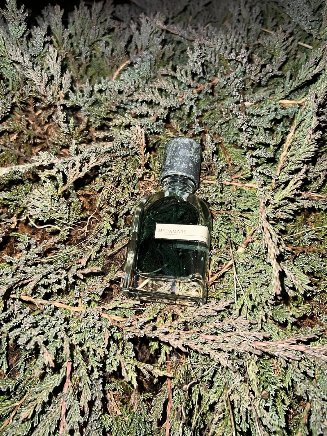 ORTO PARISI Megamare