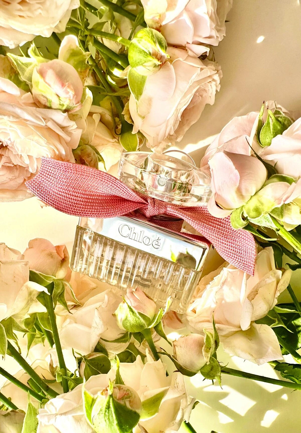 Roses De Chloe Roses De Chloe