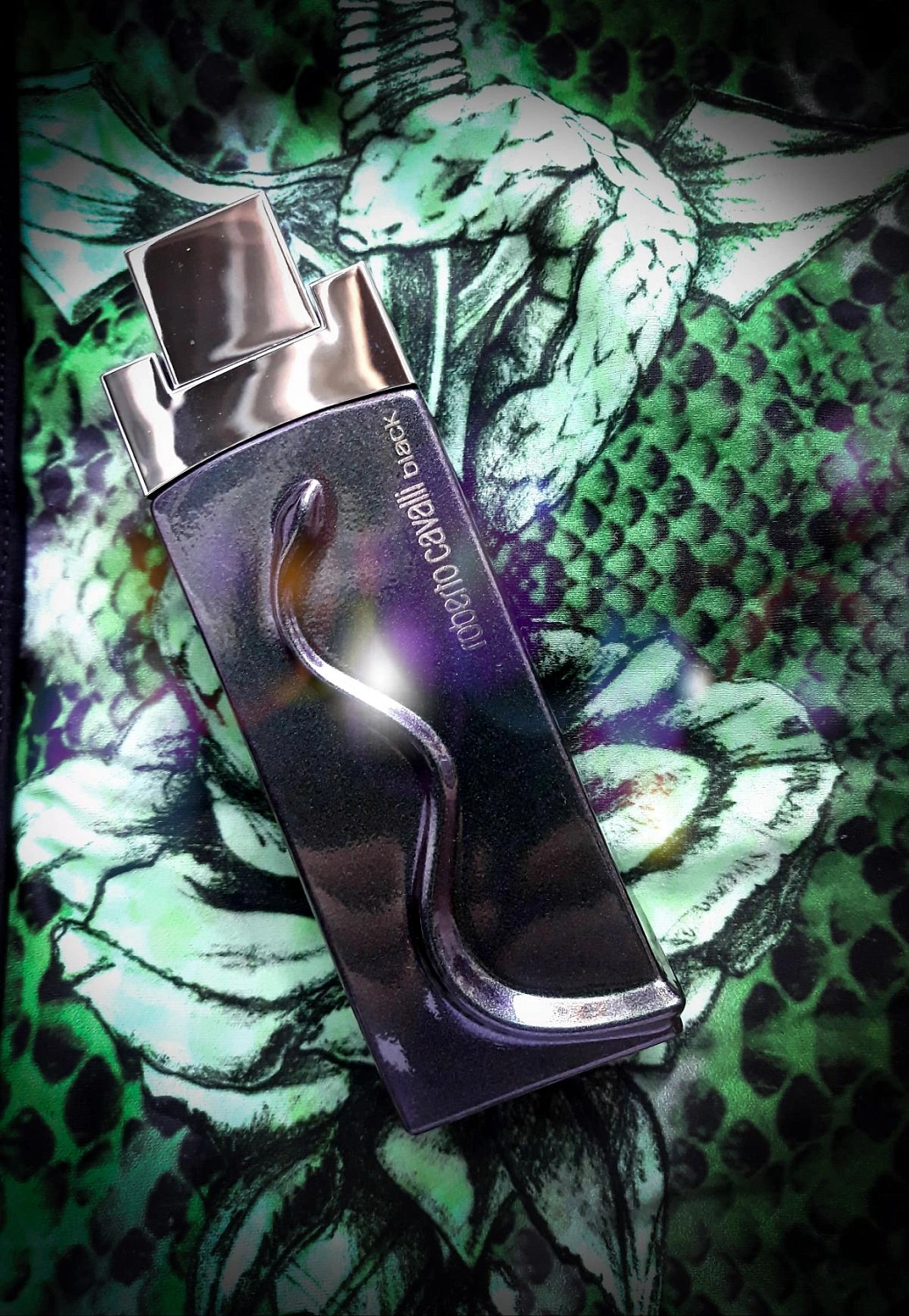 Roberto Cavalli Black