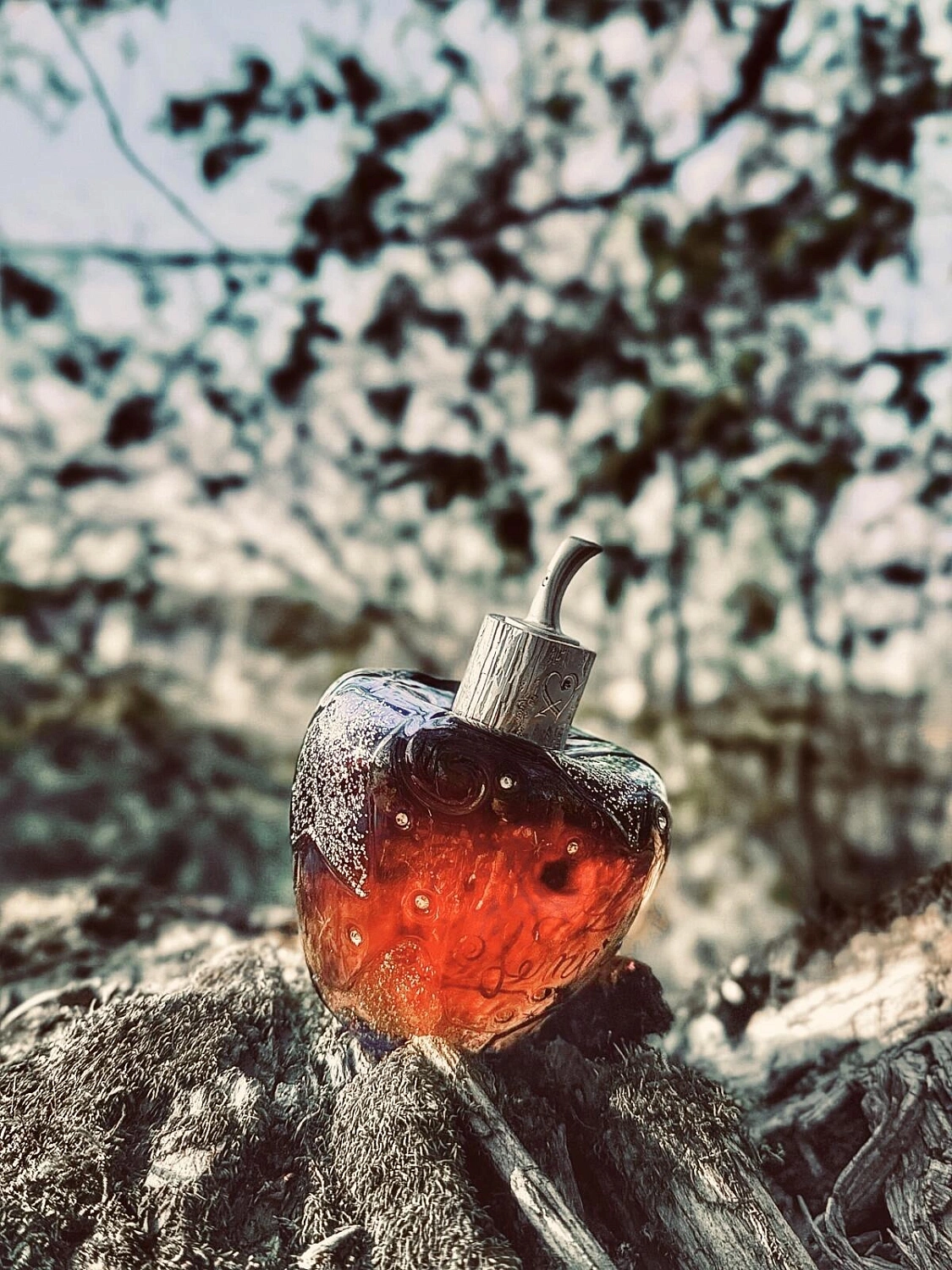 Lolita Lempicka Star Dust Midnight Fragrance