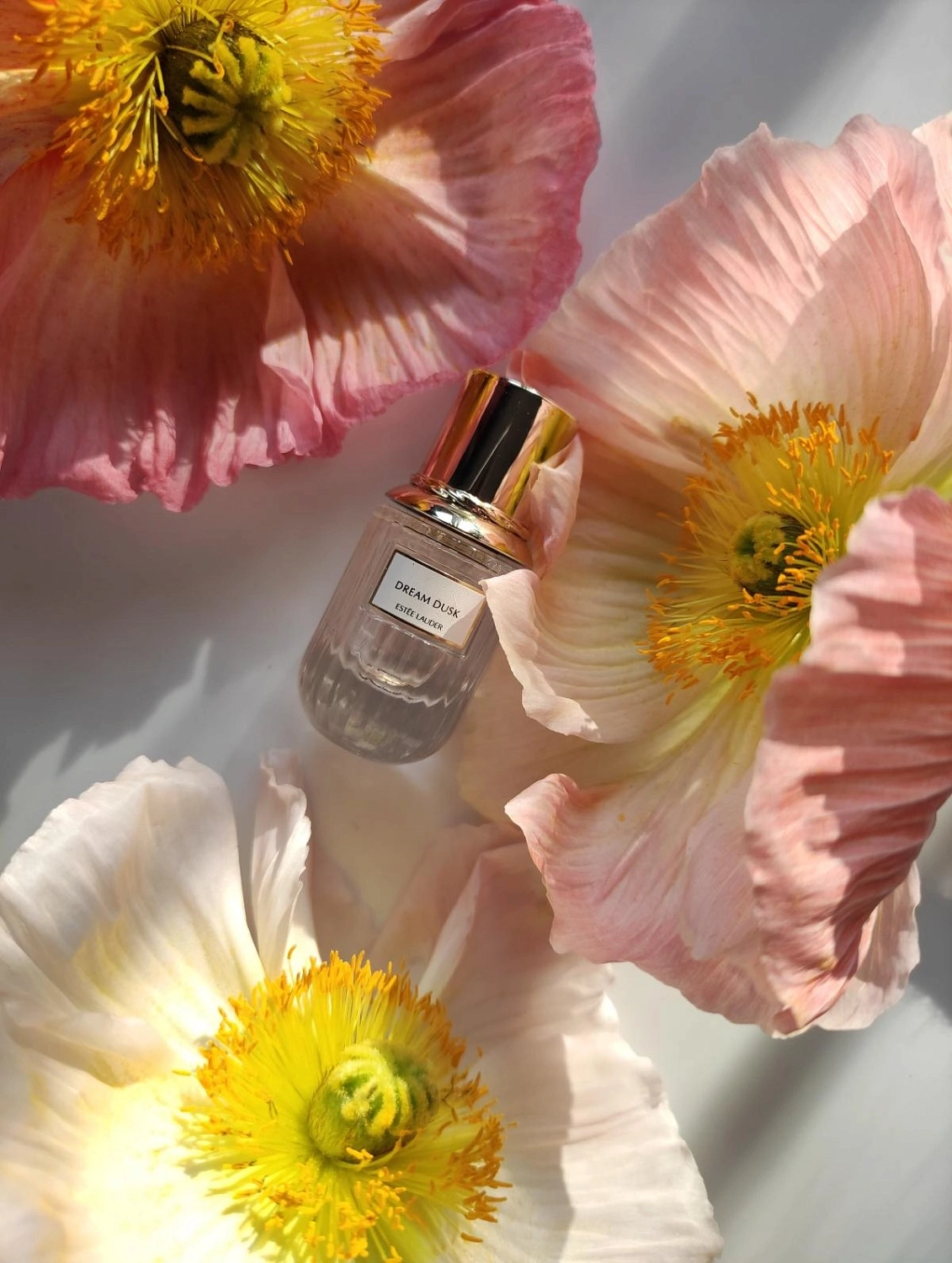 Estee Lauder Dream Dusk