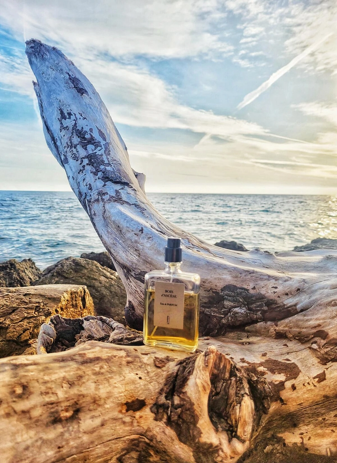 Naomi Goodsir Bois d'Ascese