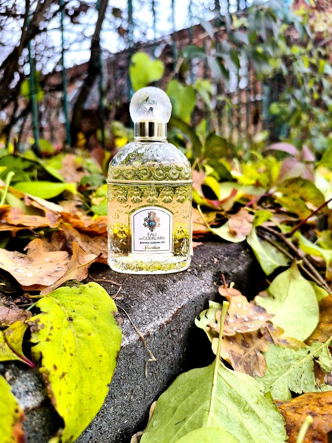 Eau de Guerlain