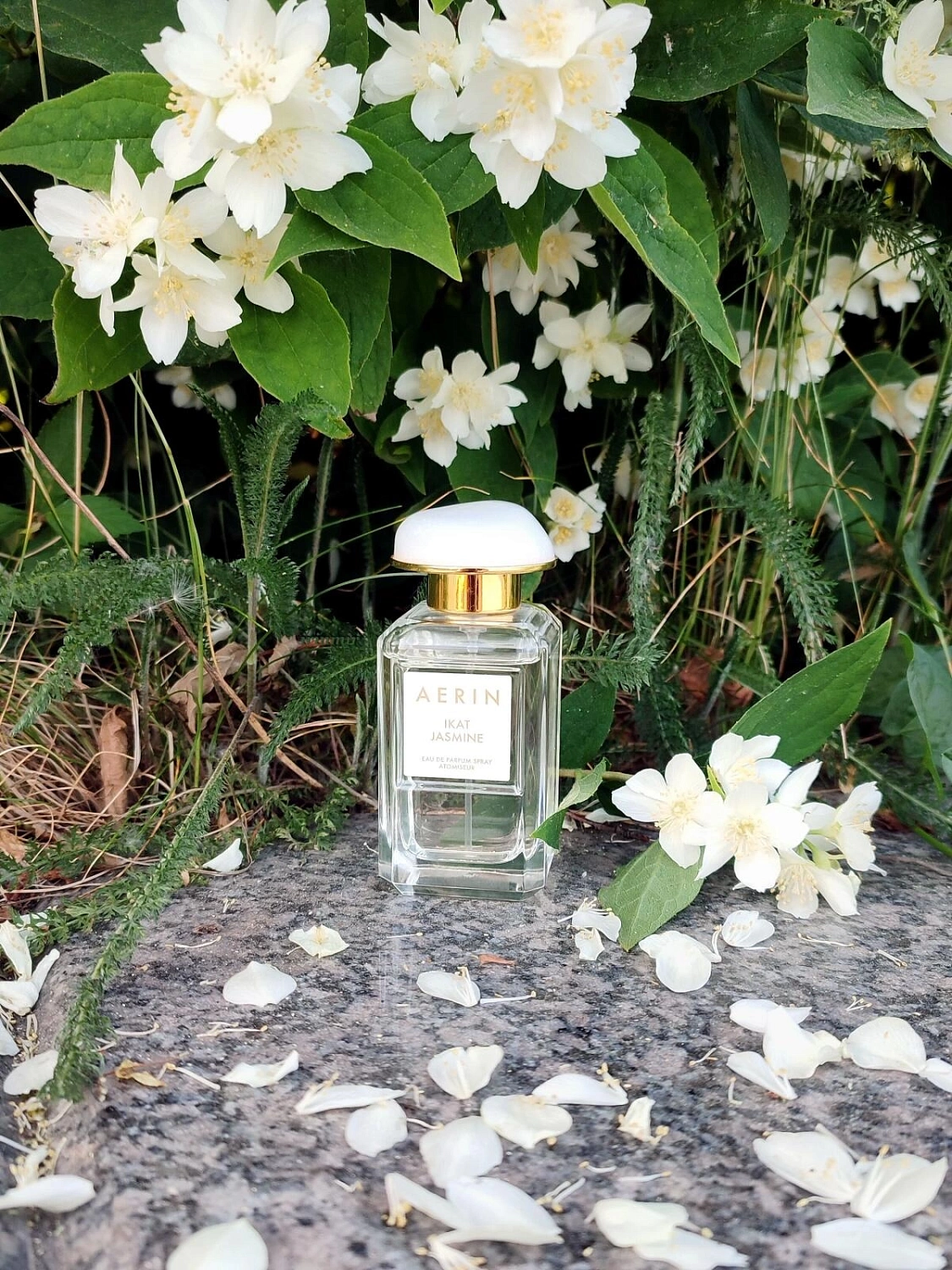 AERIN Ikat Jasmine AERIN Ikat Jasmine