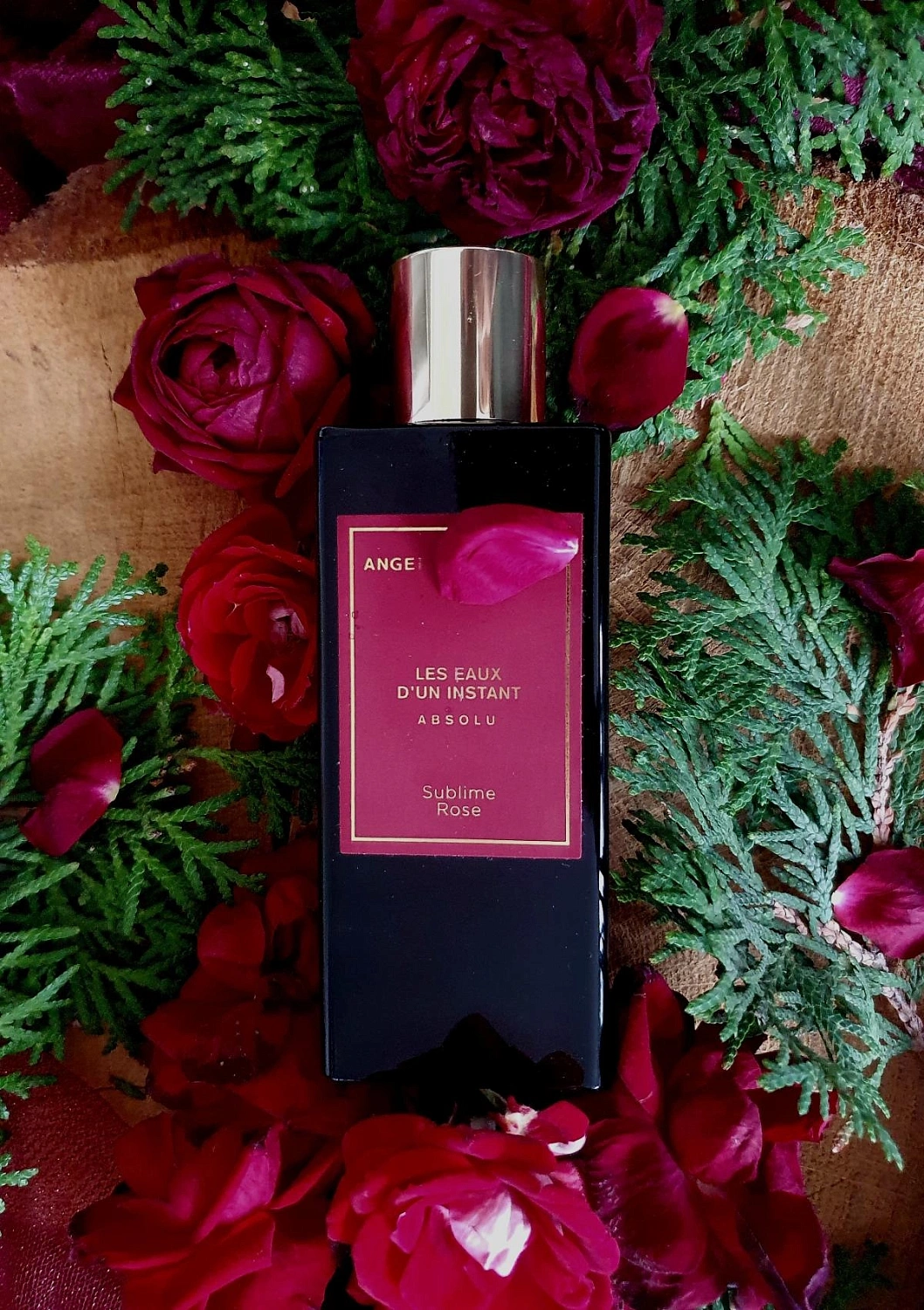 Angel Schlesser Sublime Rose Angel Schlesser Sublime Rose