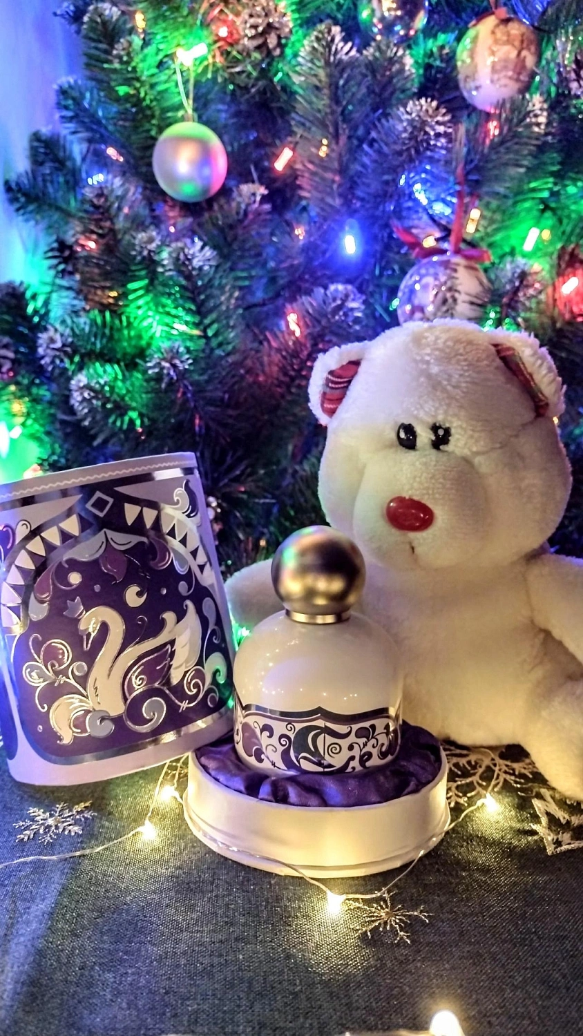 The Vagabond Prince Swan Princess