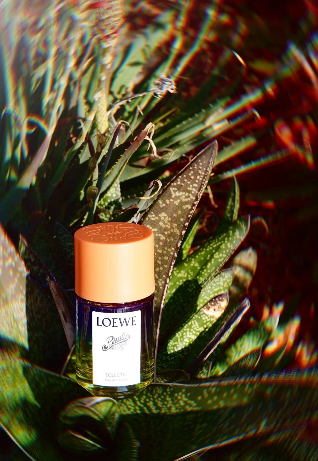 Loewe Paula's Ibiza Eclectic