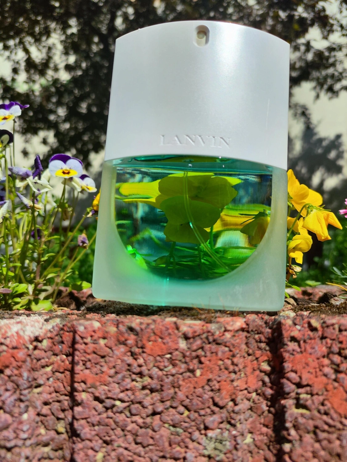 Lanvin Oxygene
