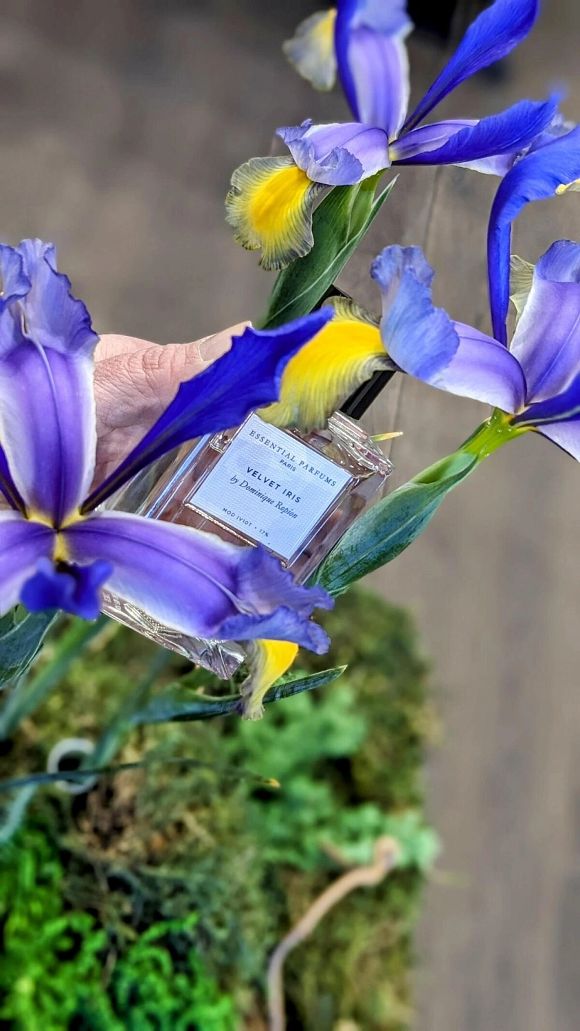 Essential Parfums Velvet Iris