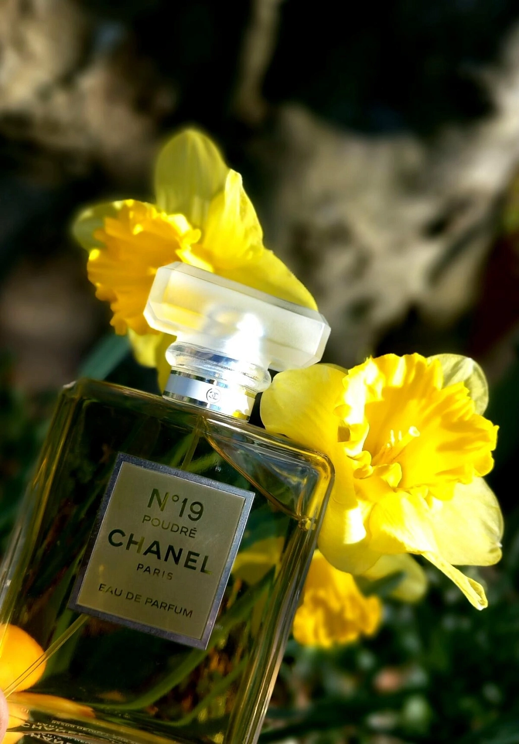 Chanel №19 Poudre