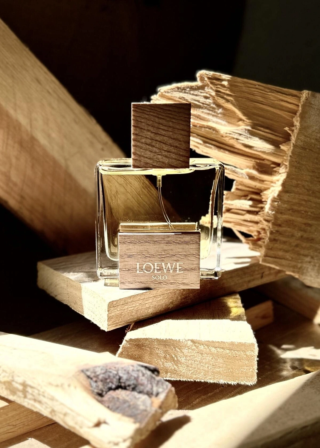 Solo Loewe Cedro Solo Loewe Cedro