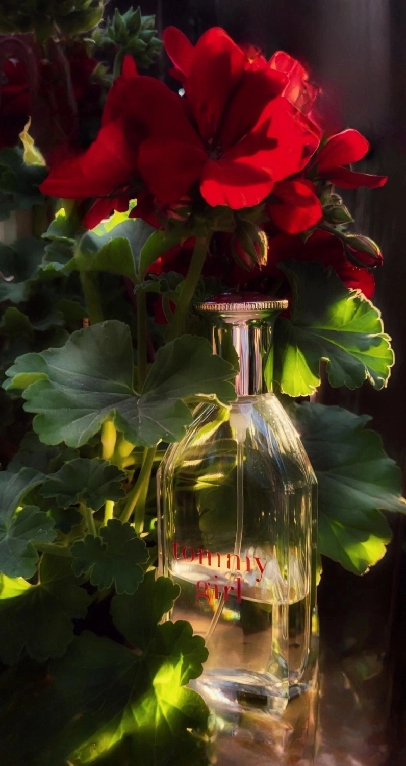 TOMMY HILFIGER Tommy Girl