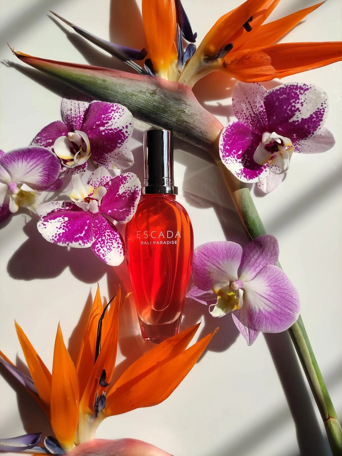 Escada Bali Paradise