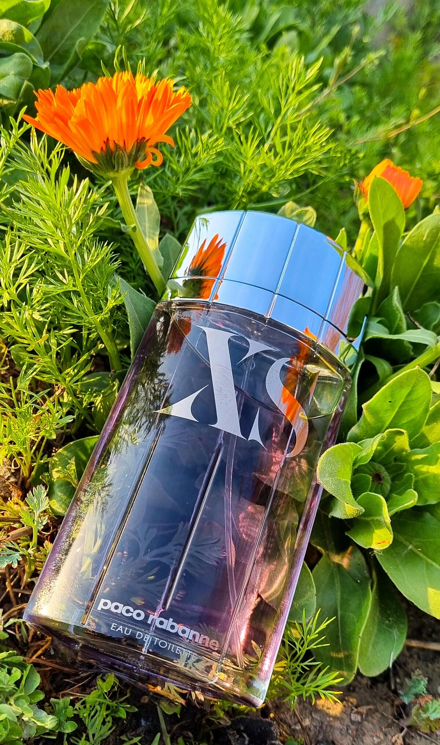 Paco Rabanne XS Pour Homme