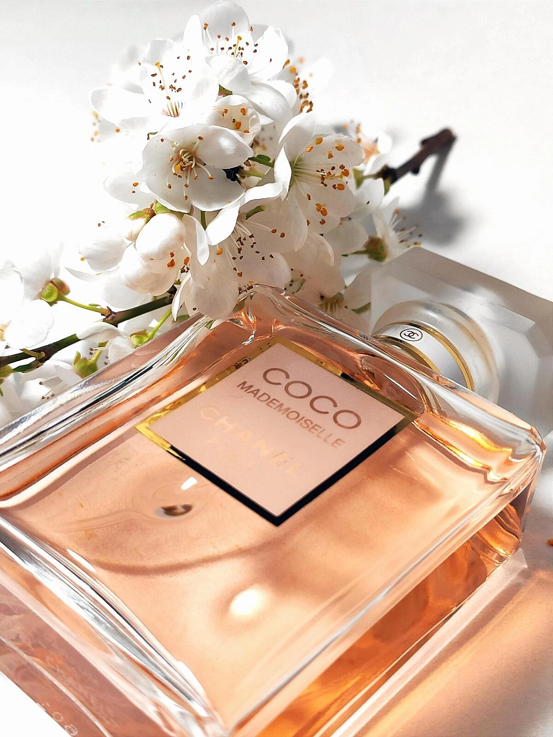 Chanel Coco Mademoiselle