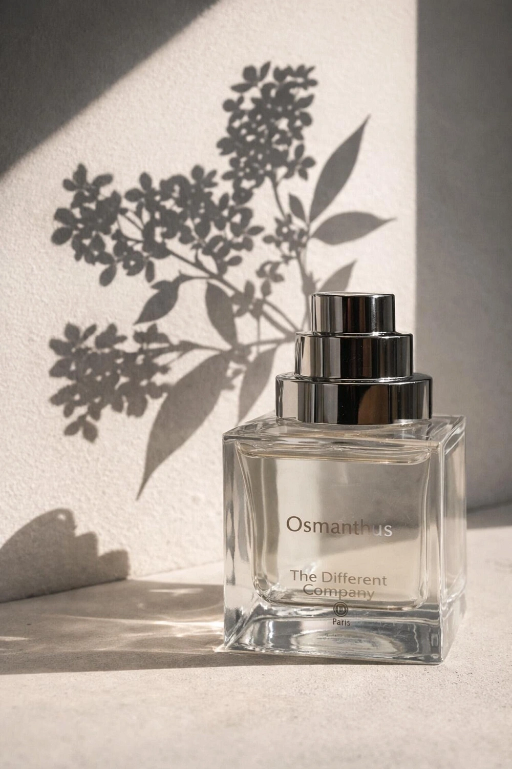 The Different Company Osmanthus