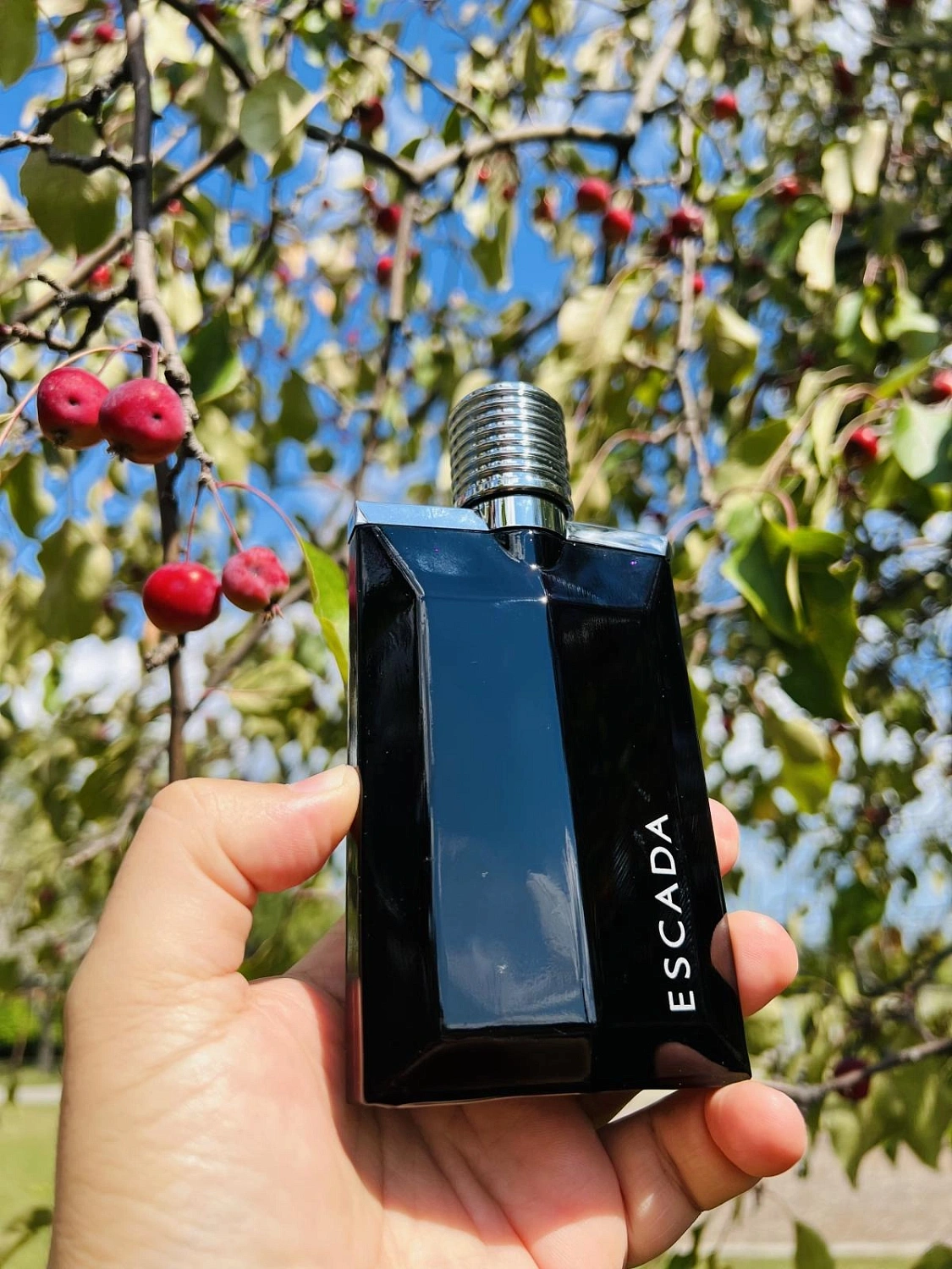 Escada Magnetism for Men