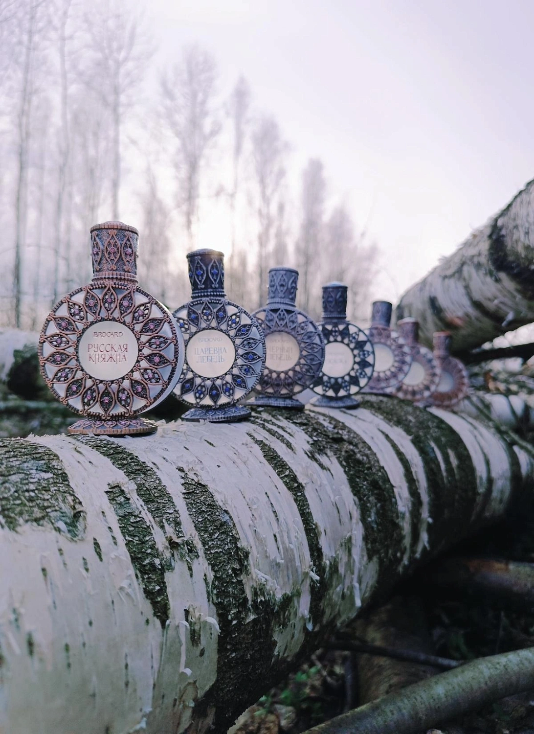 Brocard The King Princess (Царь Девица)