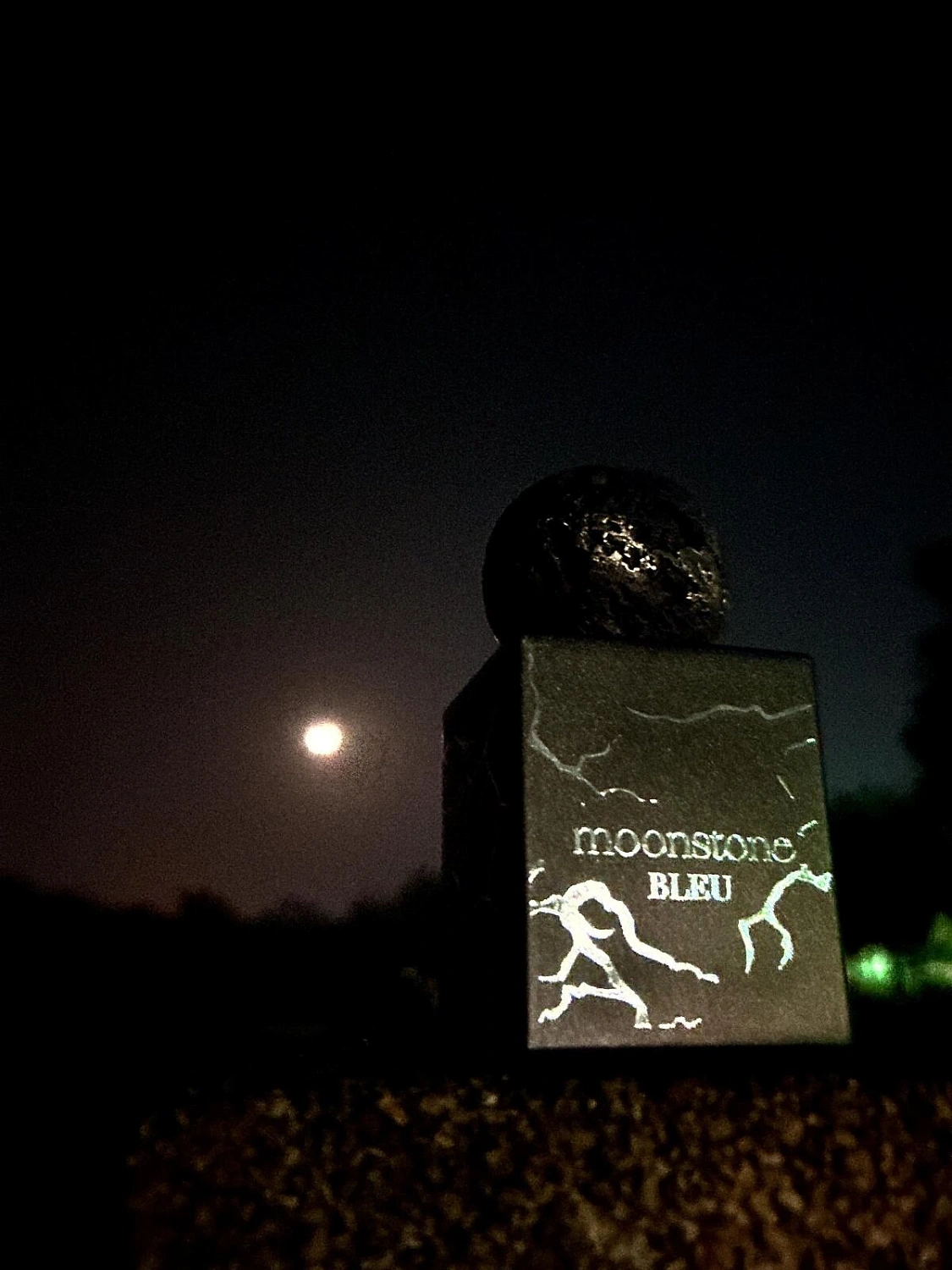 Fragrance World Moonstone Bleu