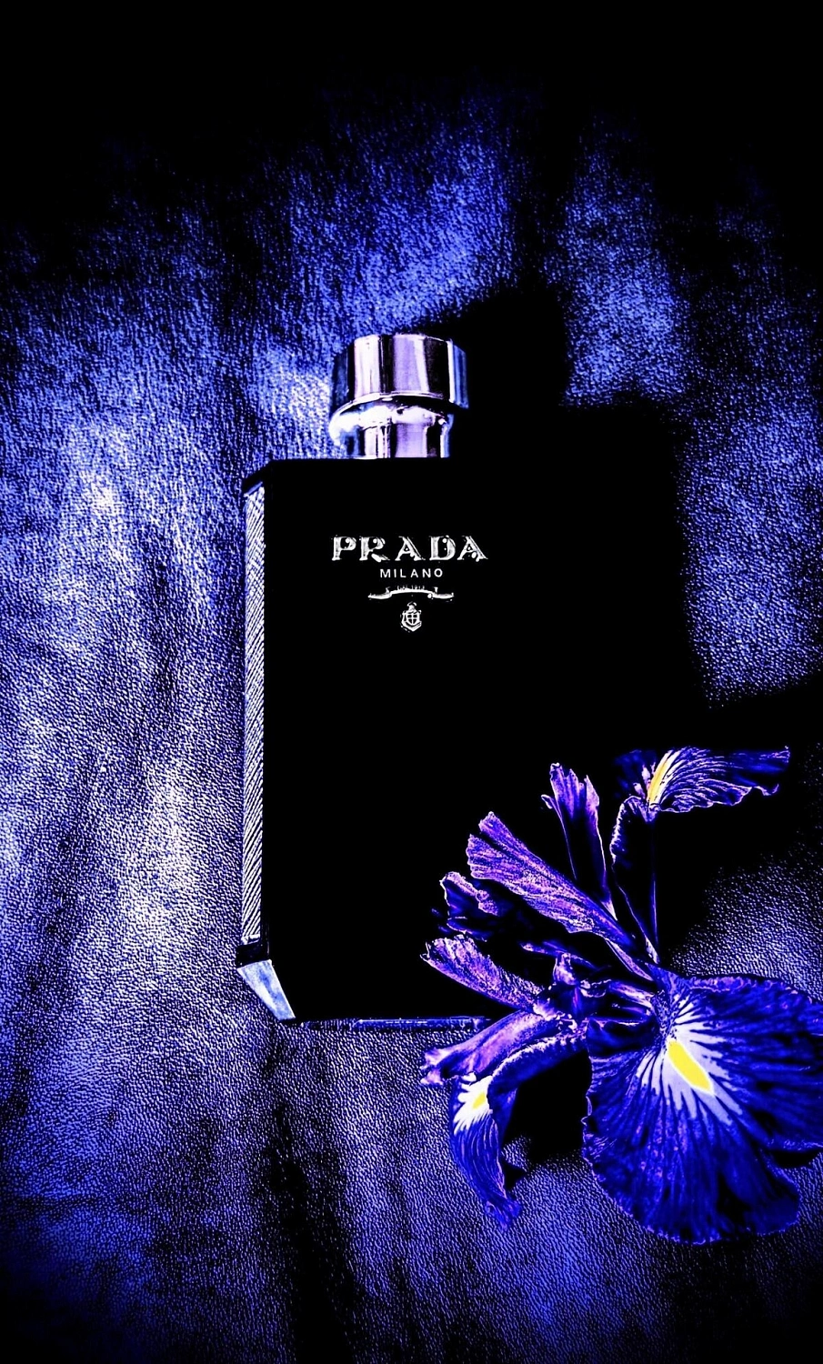 Prada L’Homme Intense