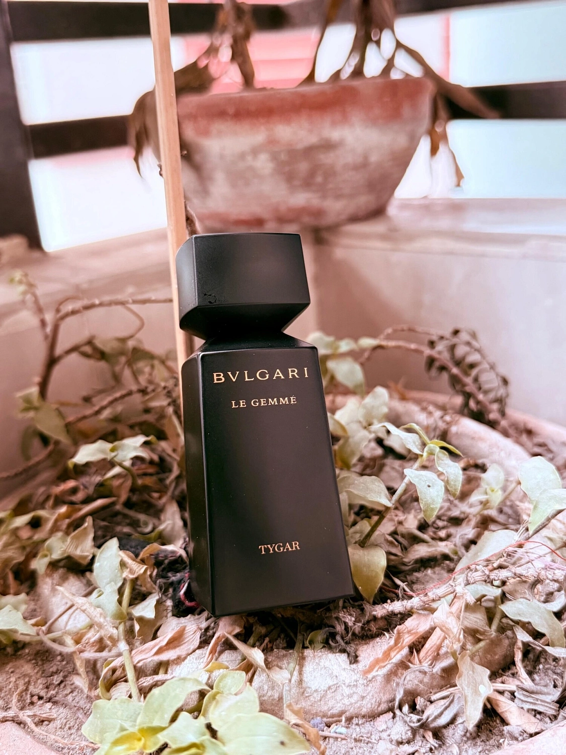 Bvlgari Tygar
