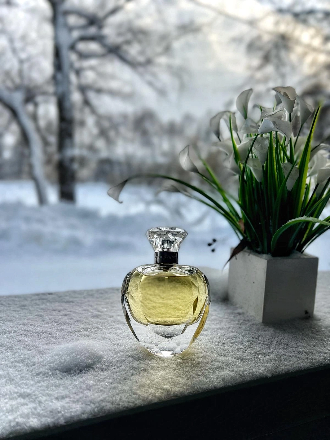 Cosmogony Moon Light