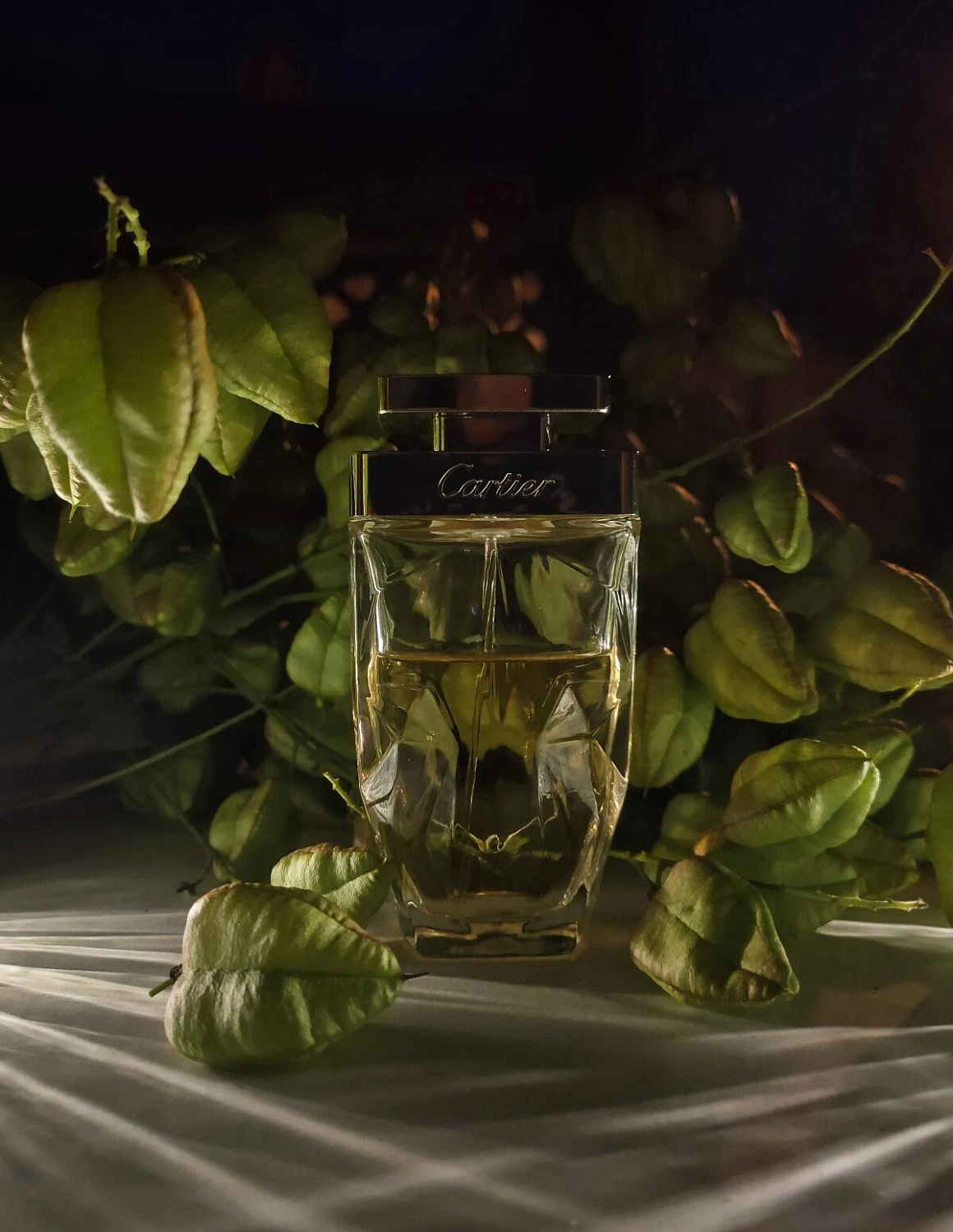 Cartier La Panthere Legere Cartier La Panthere Legere