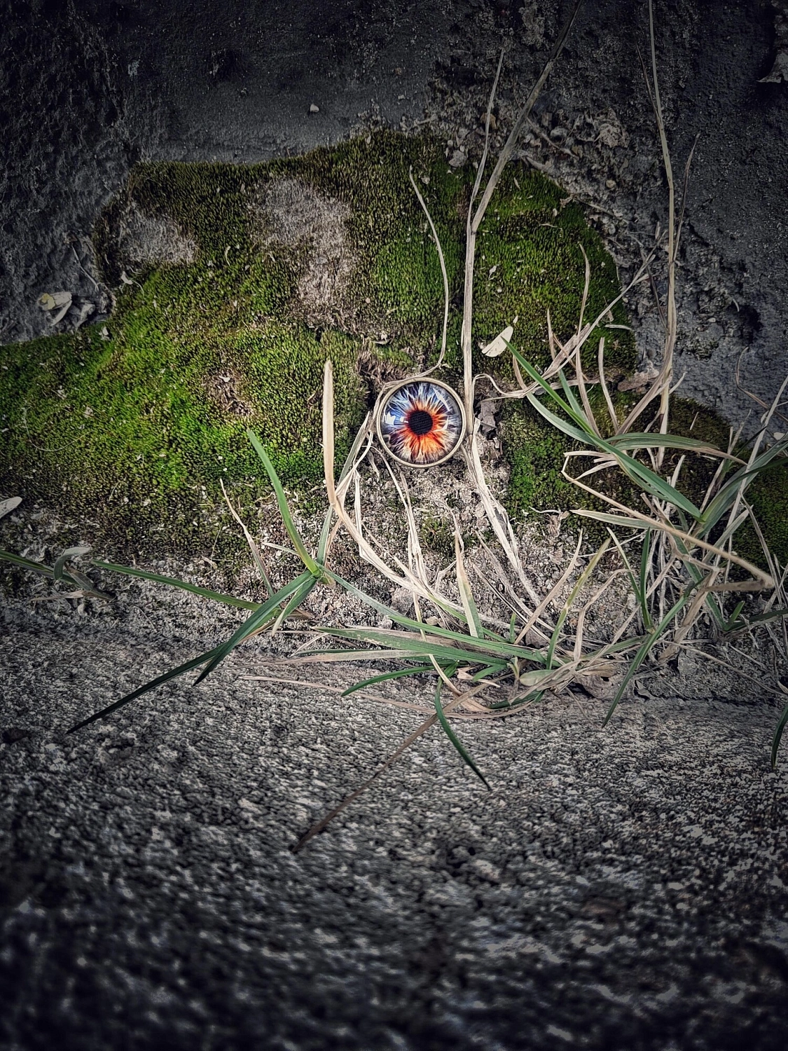 Orto Parisi Risvelium