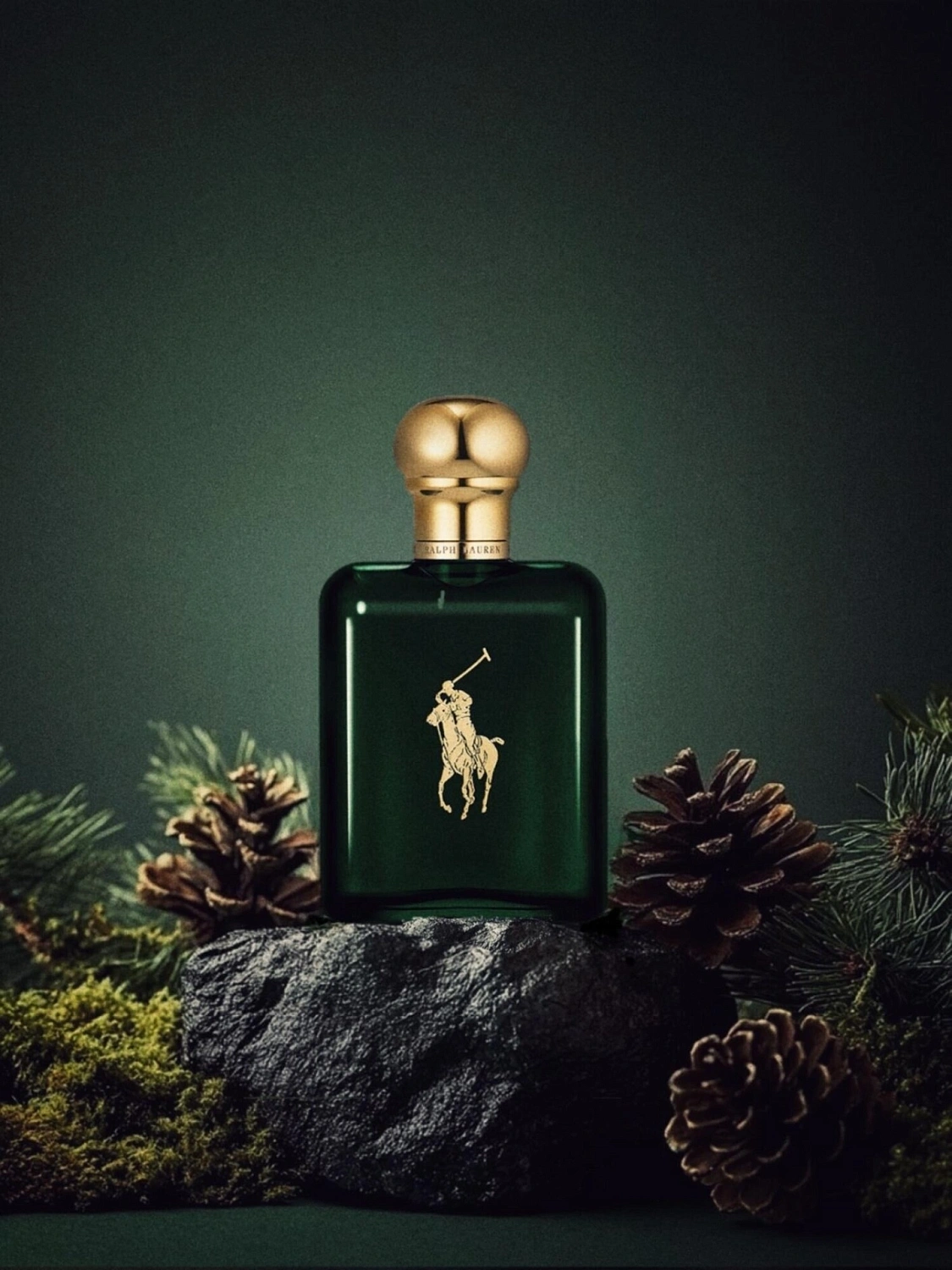 Ralph Lauren Polo