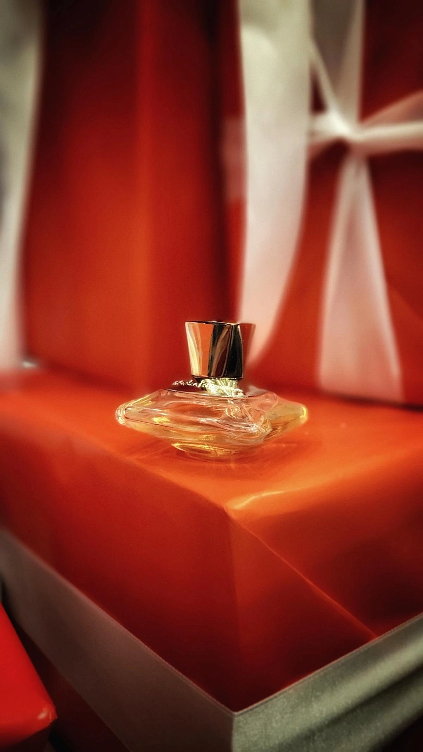 Salvatore Ferragamo Signorina Eleganza