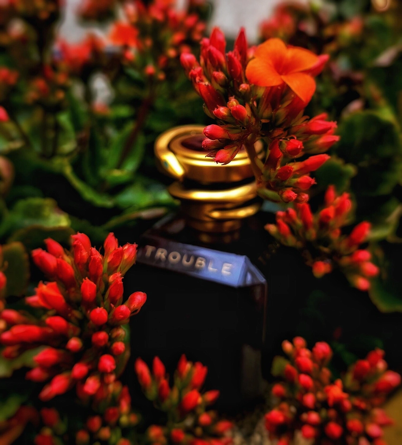 Boucheron Trouble