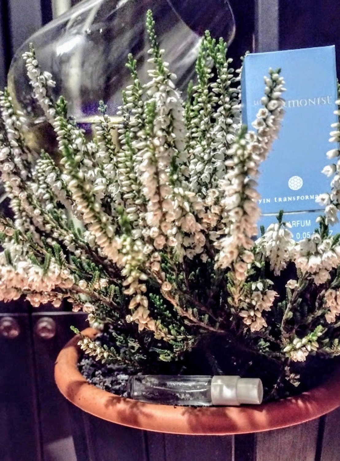 The Harmonist Yin Transformation