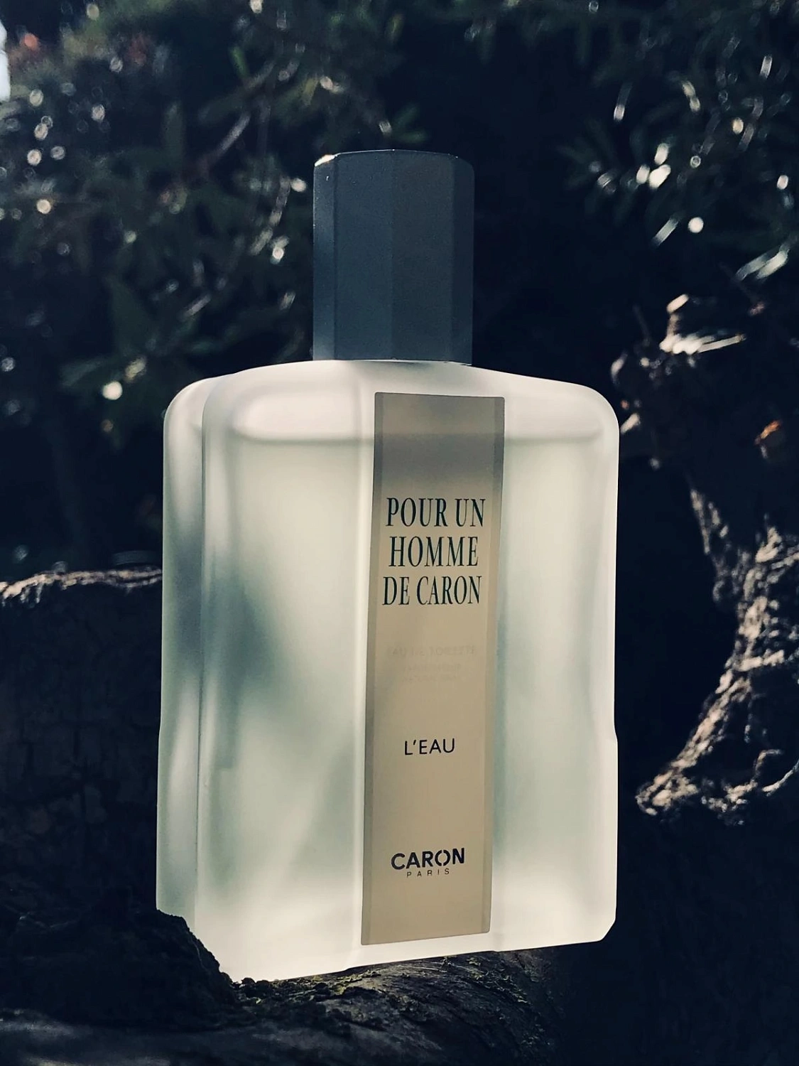 Pour Un Homme de Caron L'Eau Pour Un Homme de Caron L'Eau