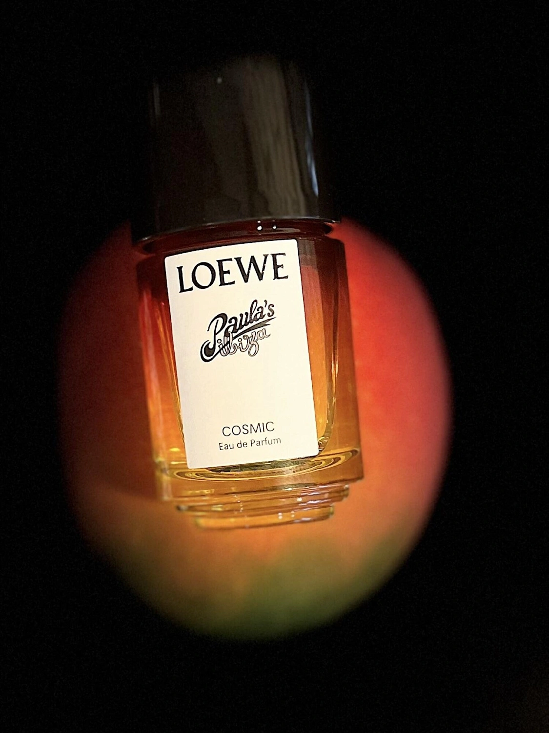 Loewe Paula's Ibiza Cosmic