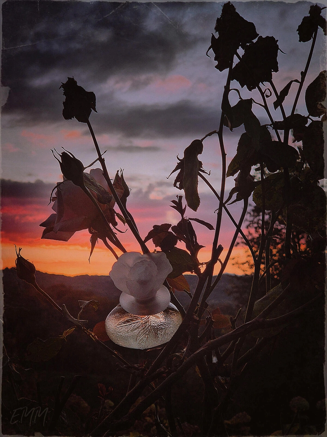 KENZO Le Monde Est Beau