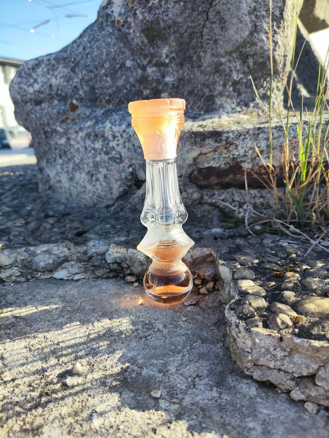 Salvador Dali Dalissime