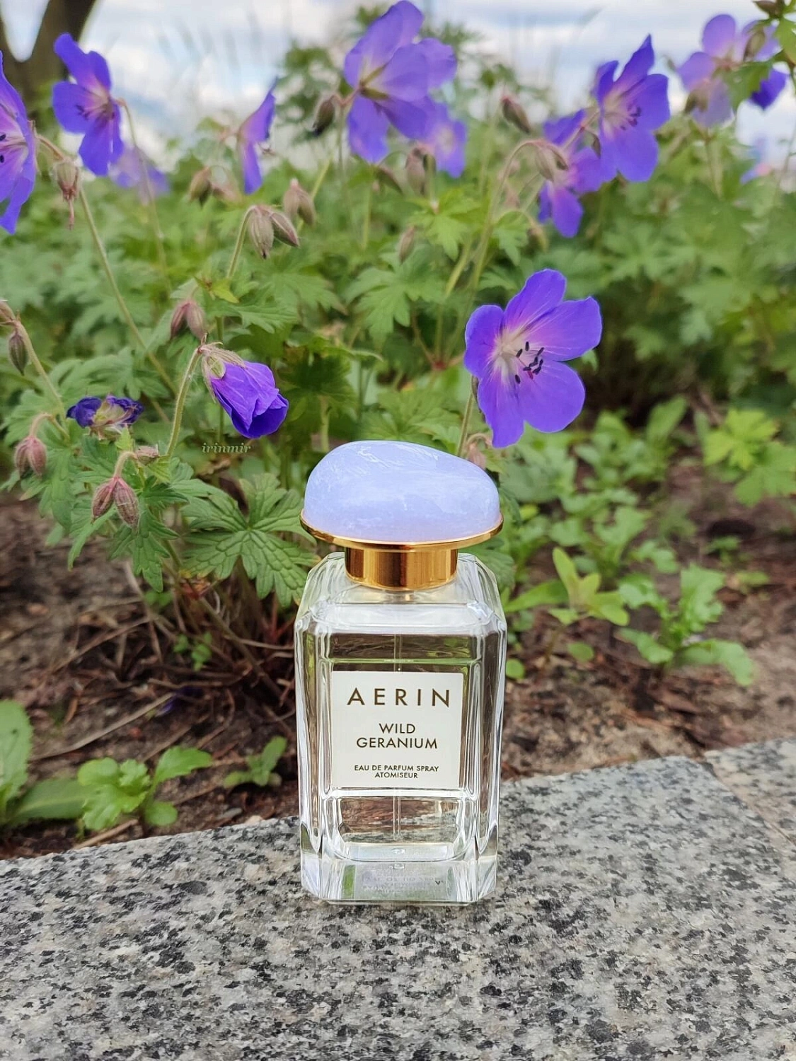 AERIN Wild Geranium