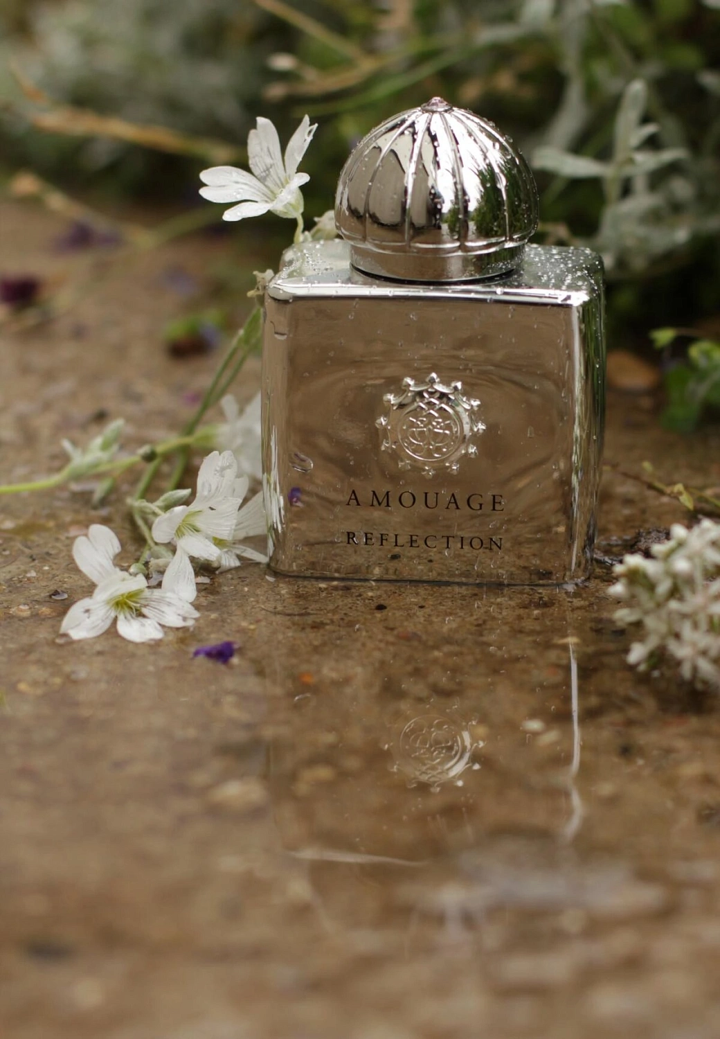 Amouage Reflection Woman Amouage Reflection Woman