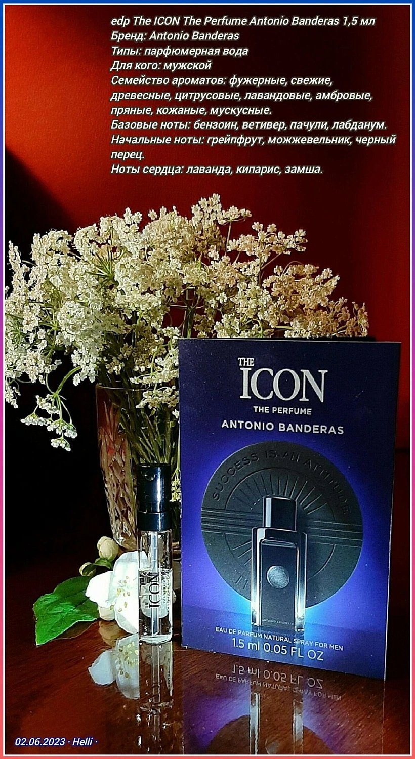 Antonio Banderas The Icon