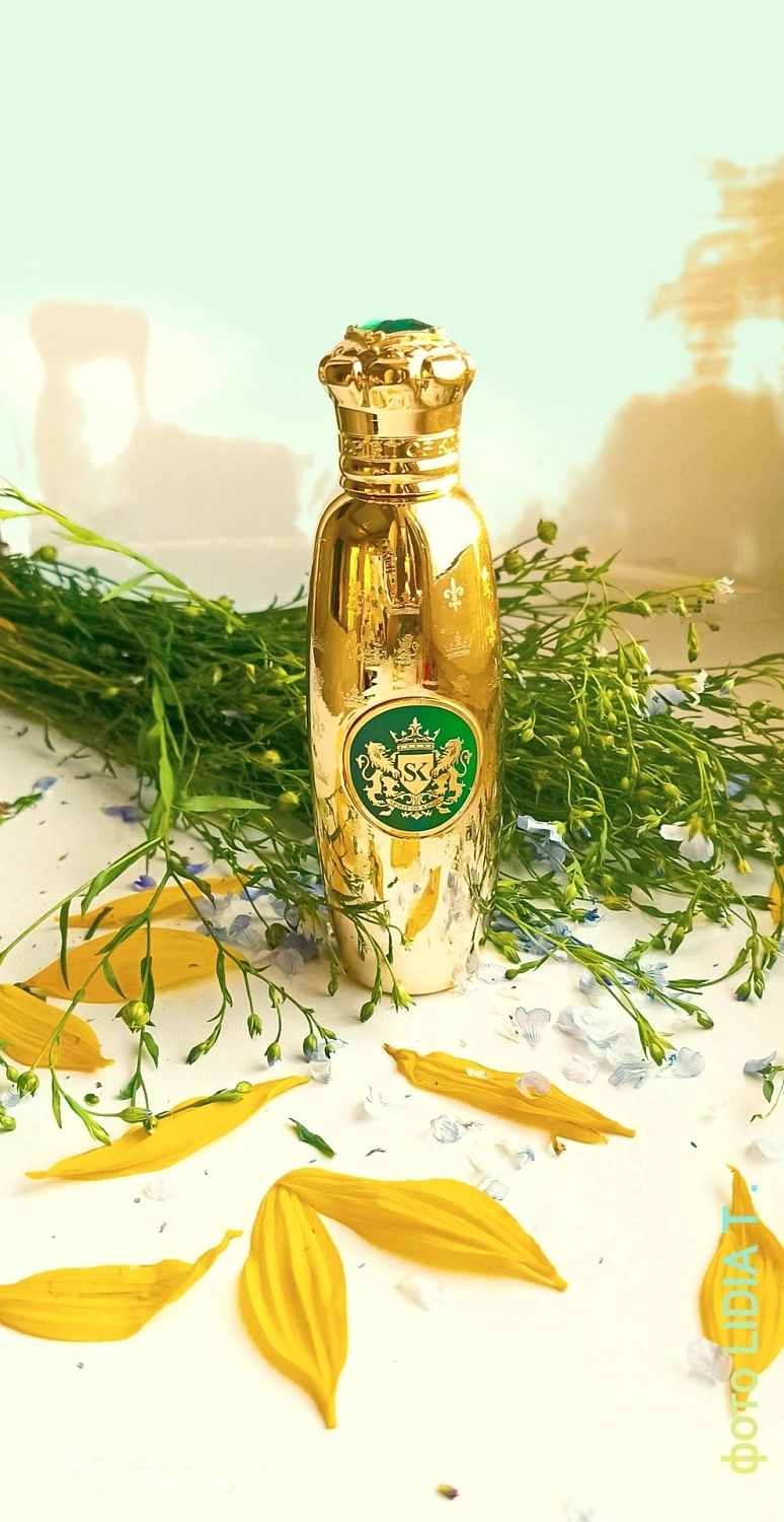 Spirit Of Kings Errai