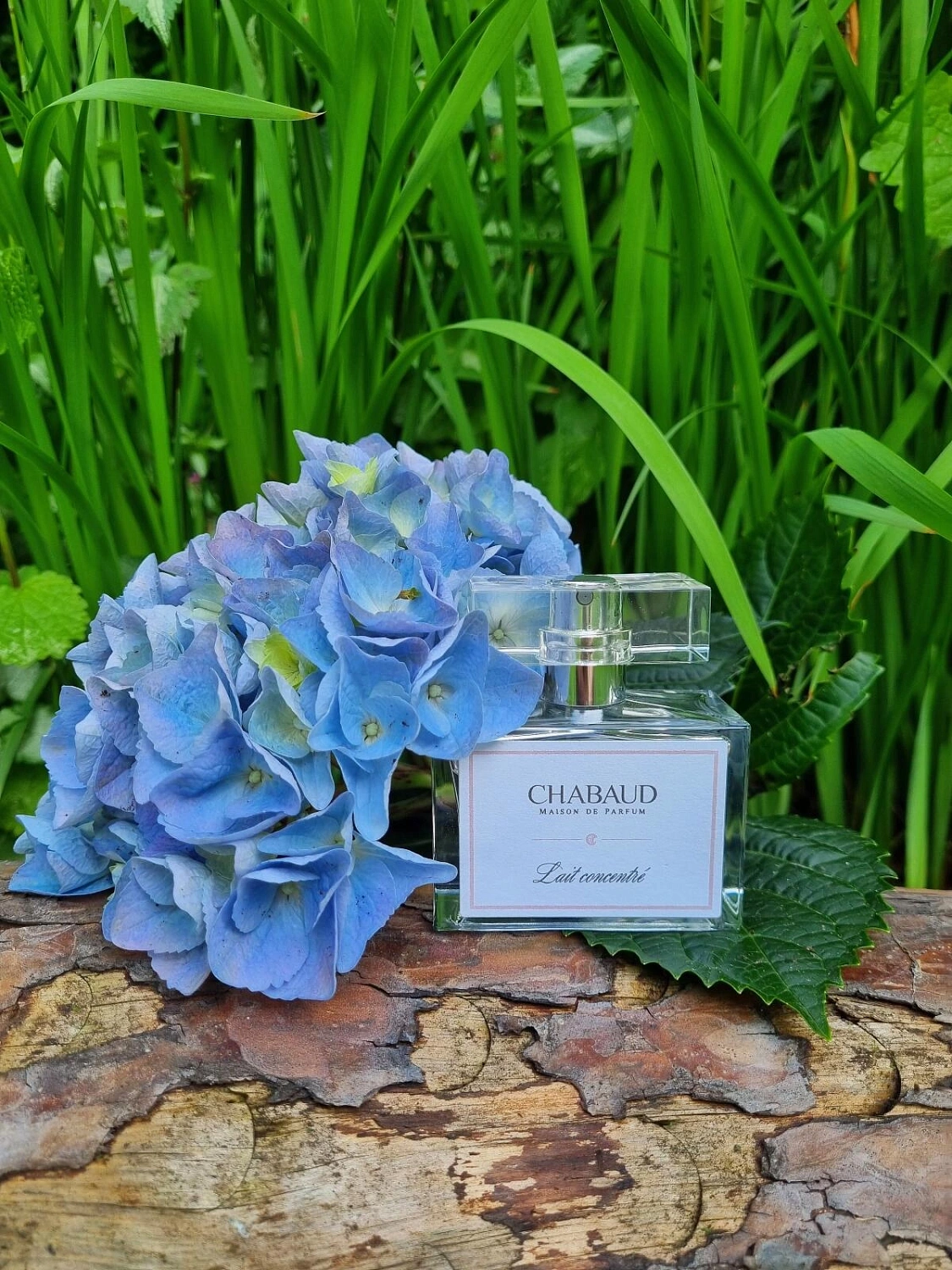 Chabaud Maison de Parfum Lait Concentre