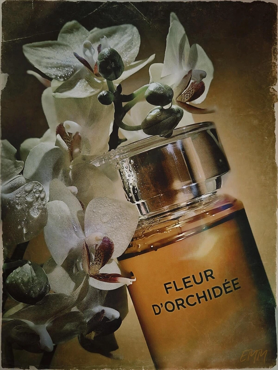 Karl Lagerfeld Fleur d'Orchidee